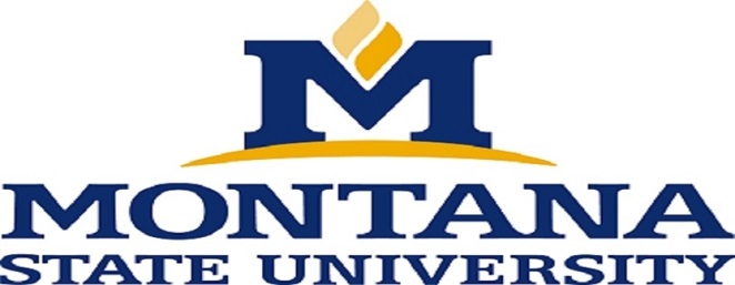 Cybersecurity Contract Awarded to SES by Montana State University